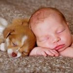 ¿Qué juguetes puedes elegir para tu bebé?