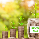 renta fija